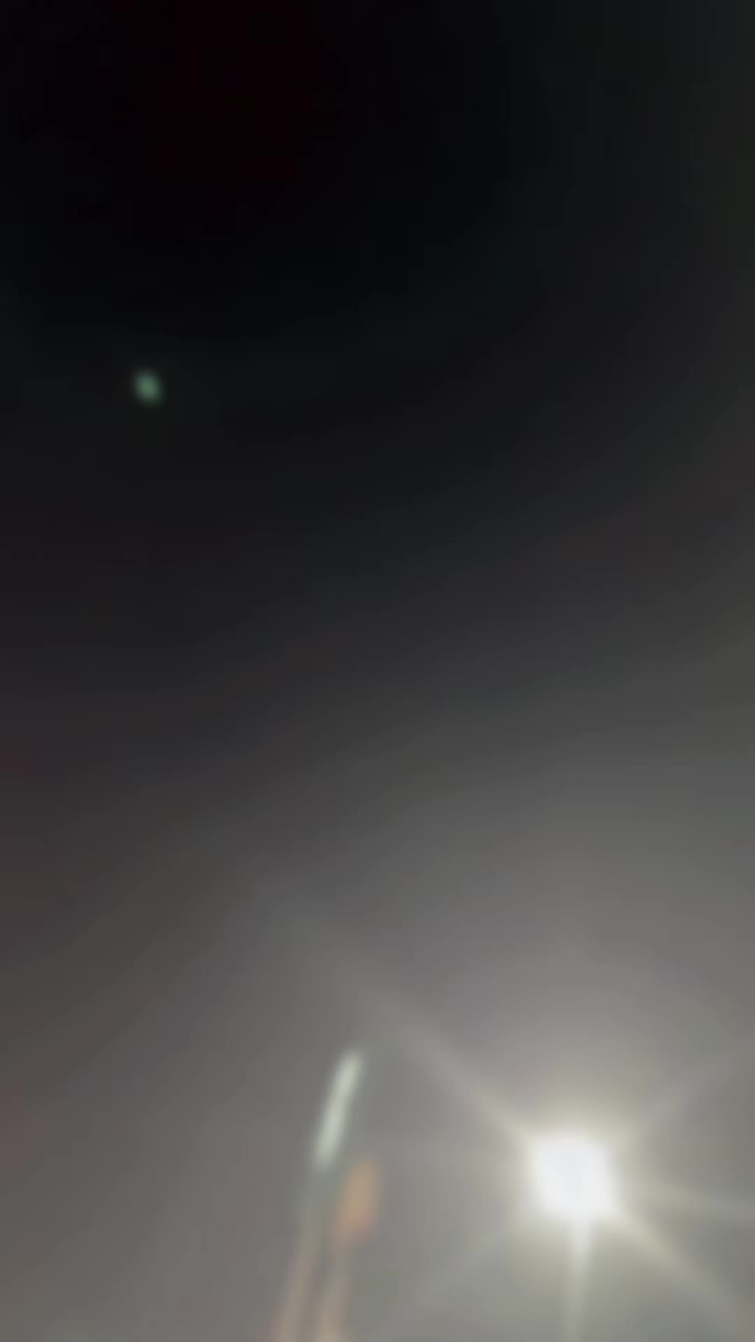 @A M M U