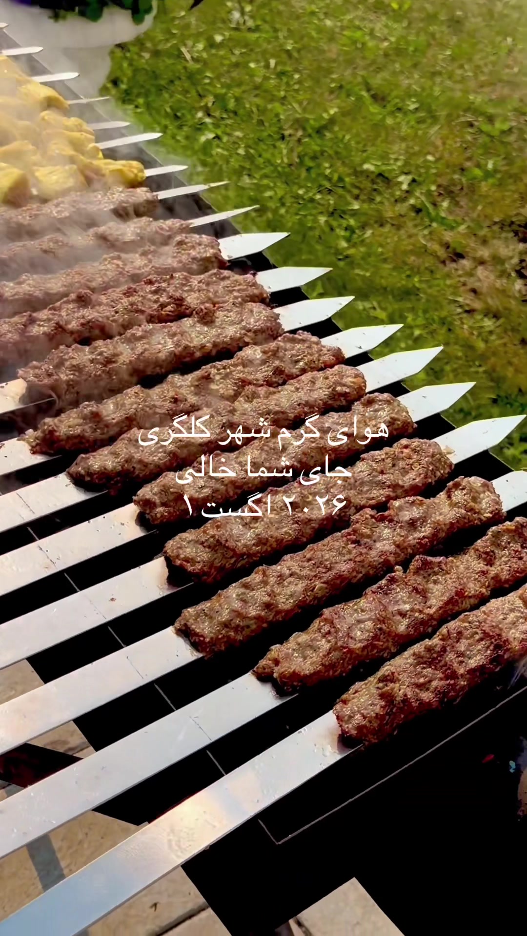 @user hamid
