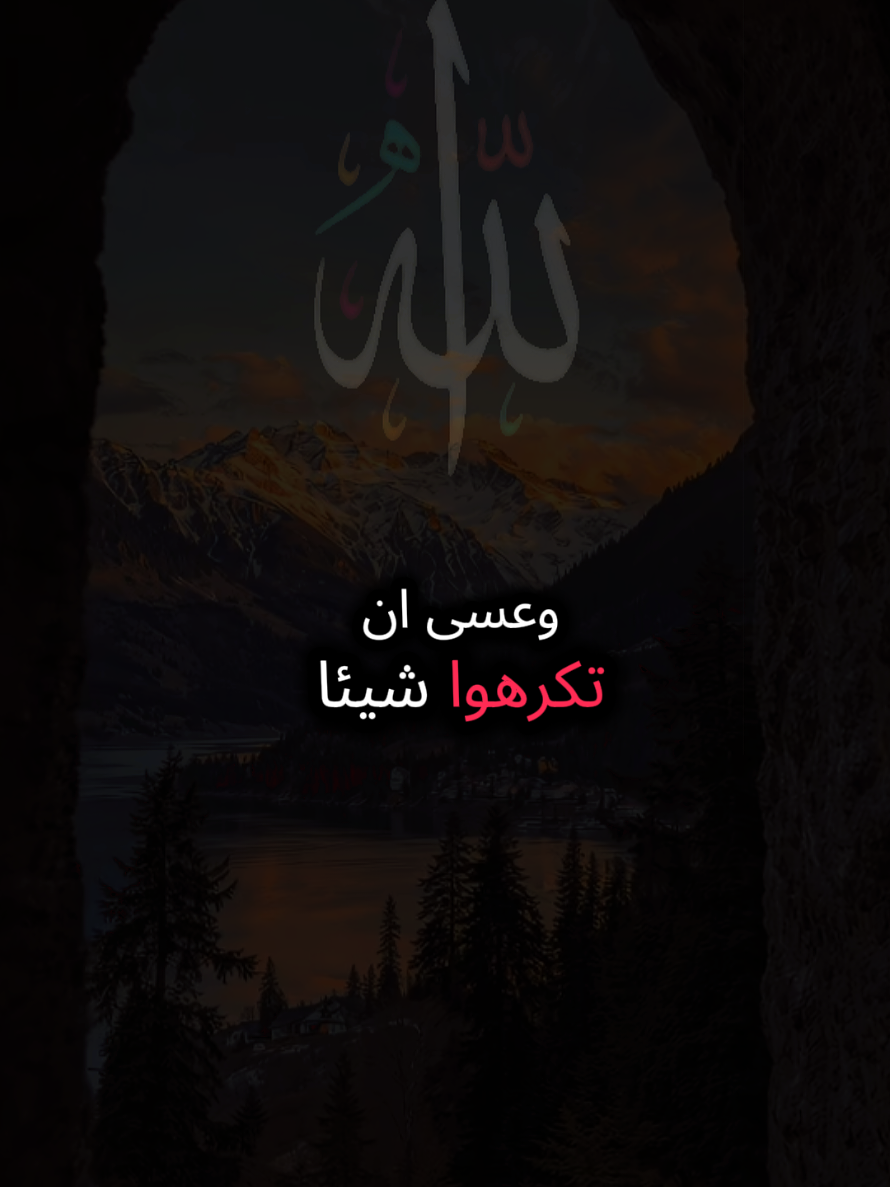@ساندي🇪🇬