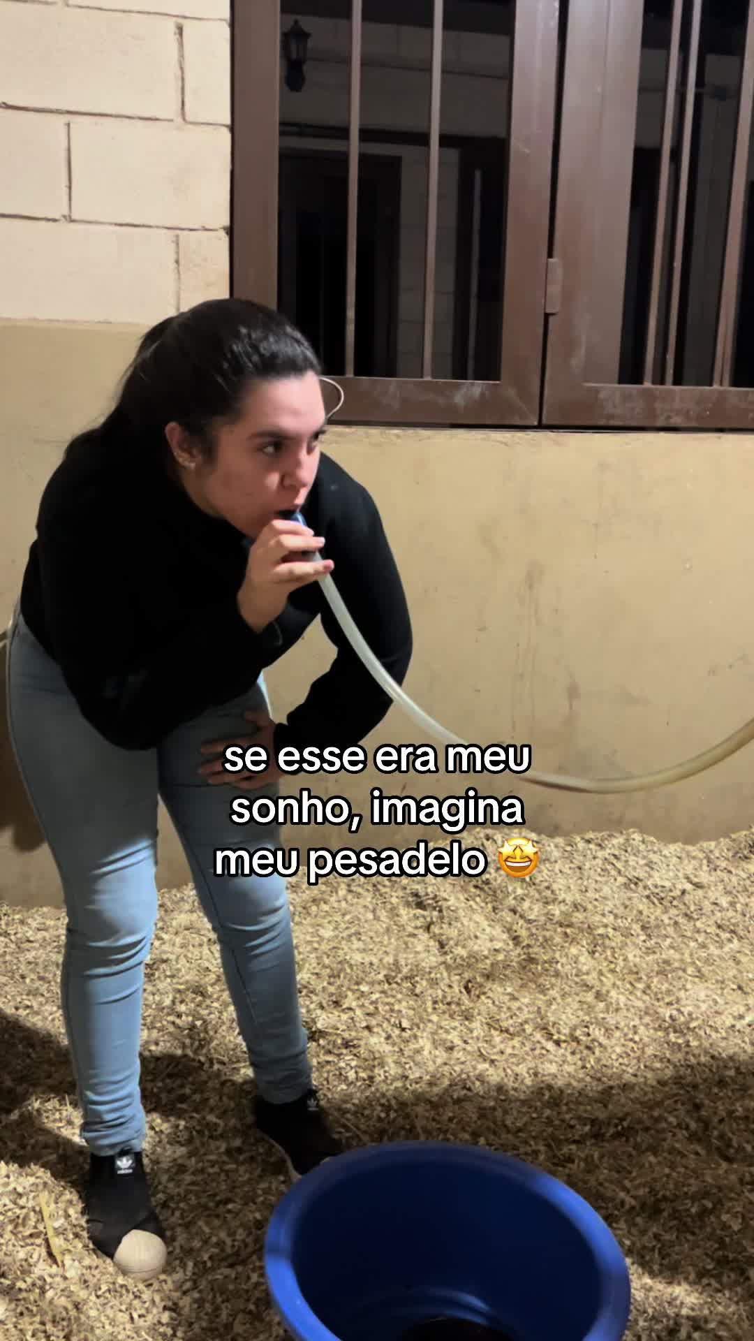 @Flora Queiroz
