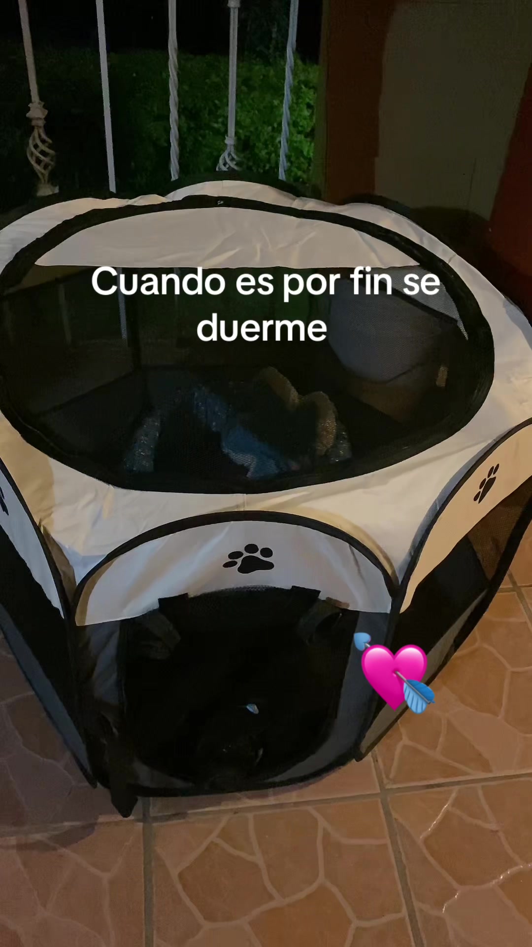 @zeri_065