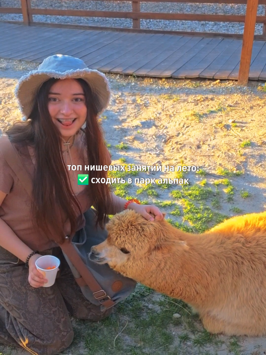 @амелия