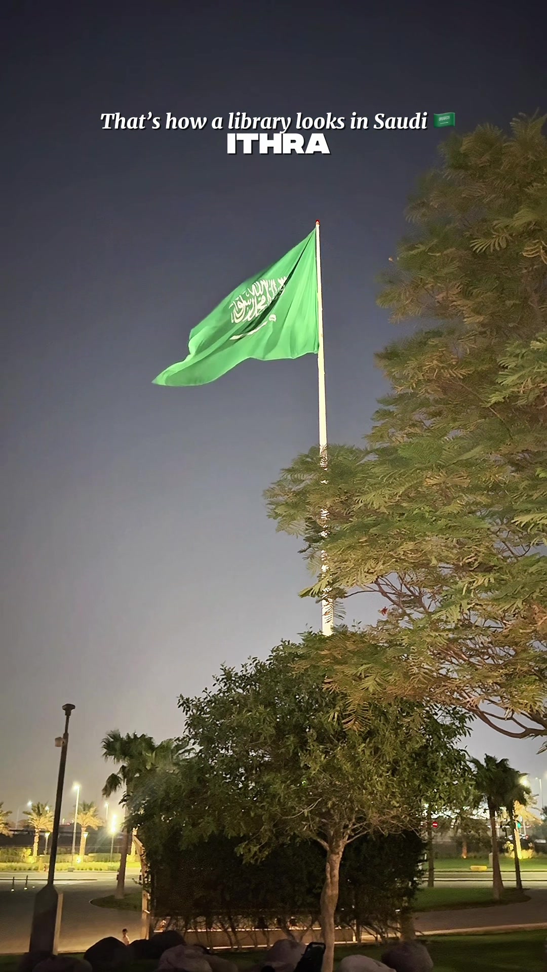 @Ismail Shafi🇸🇦