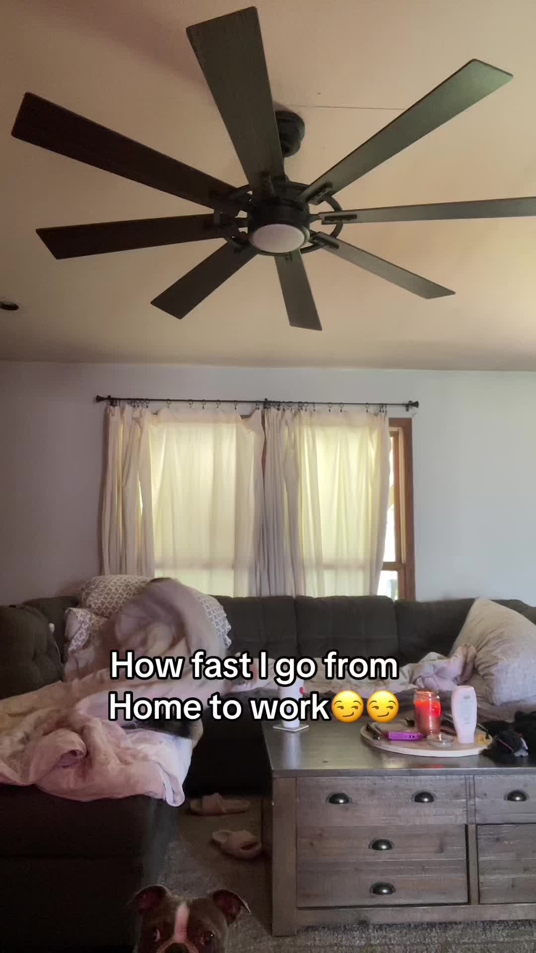 @Kelly Hamilton🥥🏝️