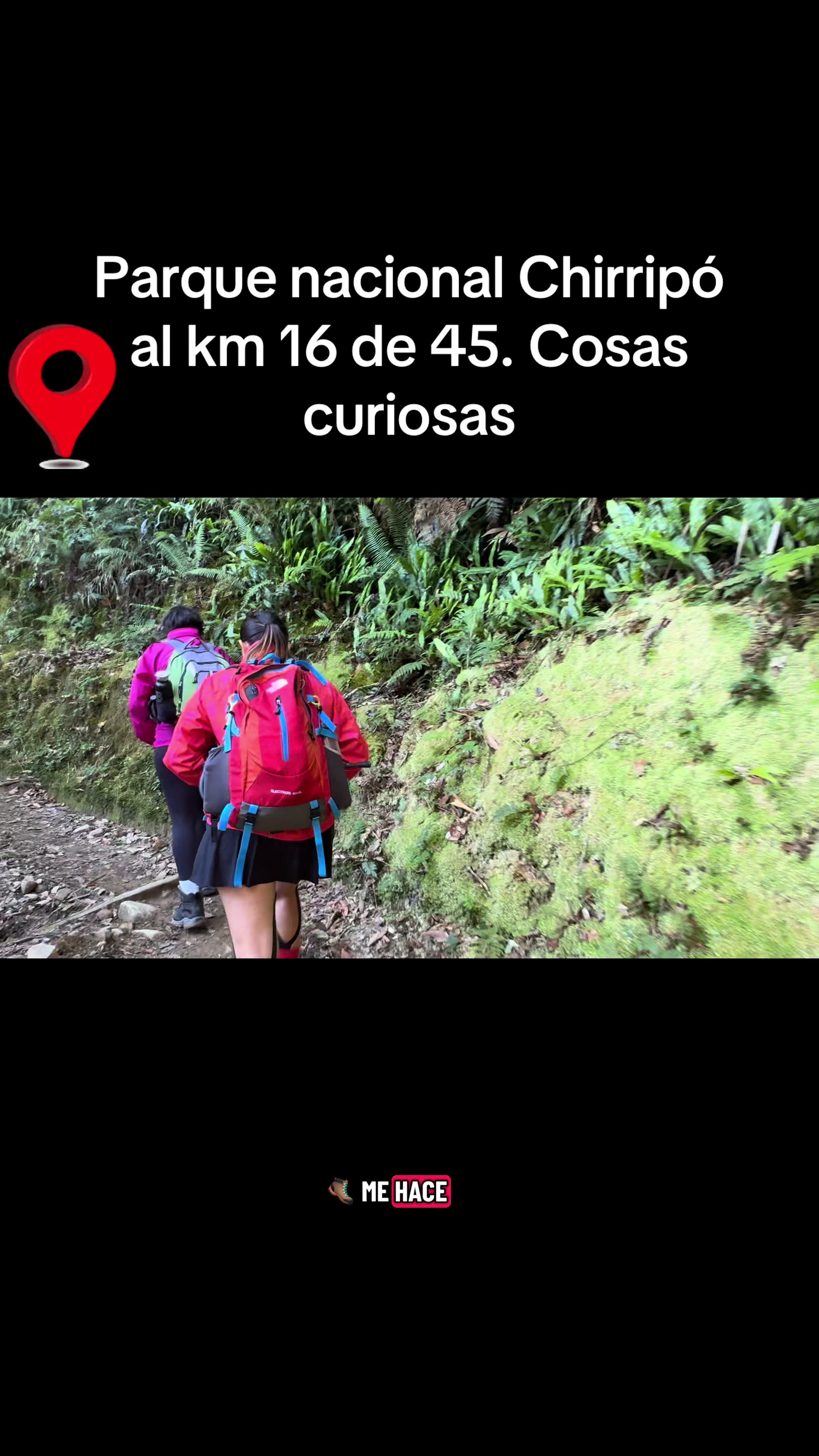@Oxigenia Buseta Costa Rica