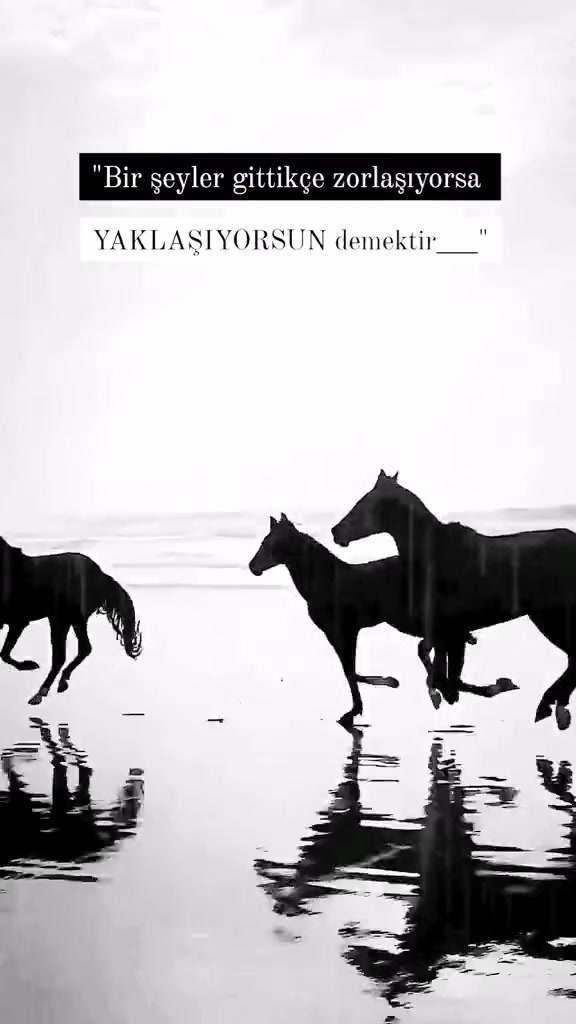 @🇦🇿🔱 САЛЕХ БАГИРОВ 🔱🇷🇺