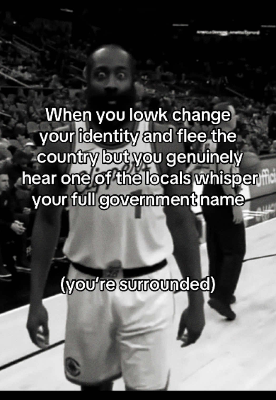 @blorptastic_ferret