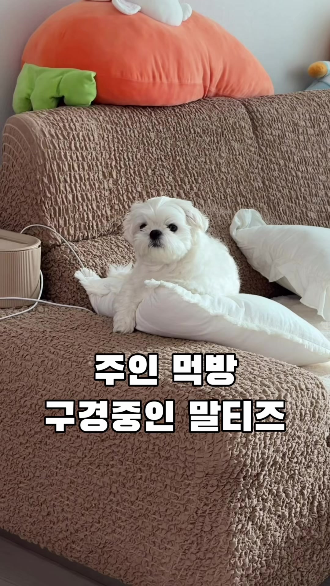 @박까까