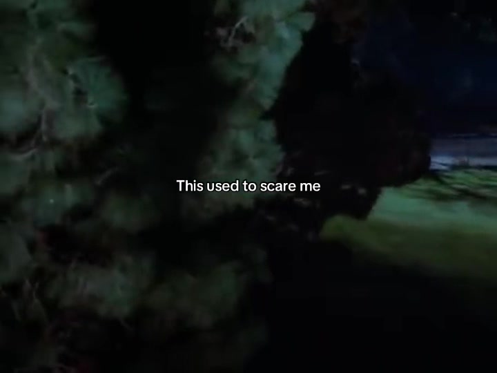 @Freddie