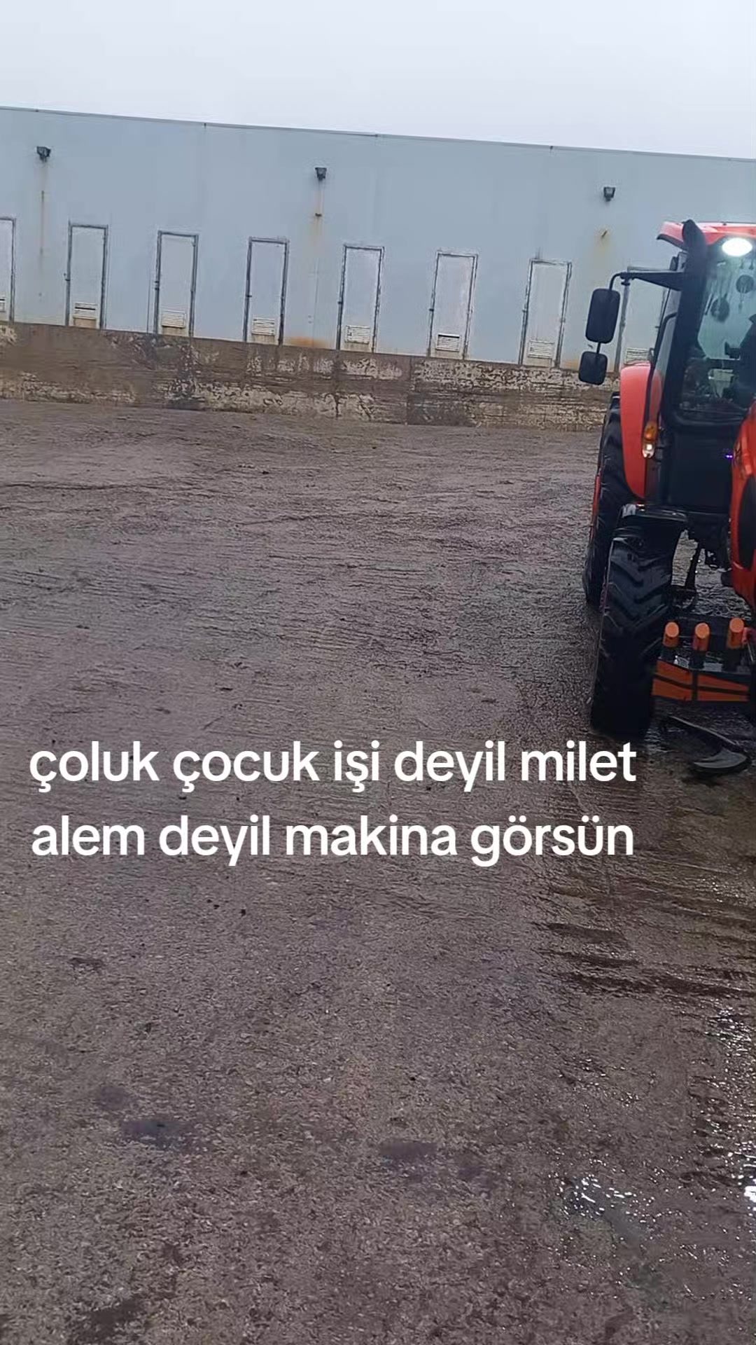 @samim dmn