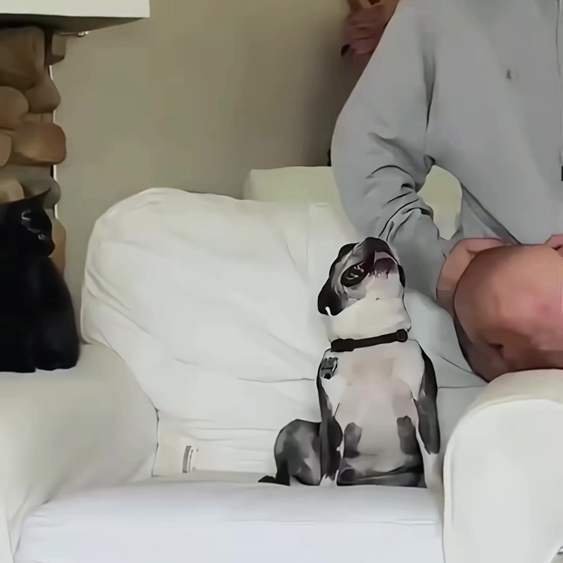 @𝗖𝗔𝗧𝗦