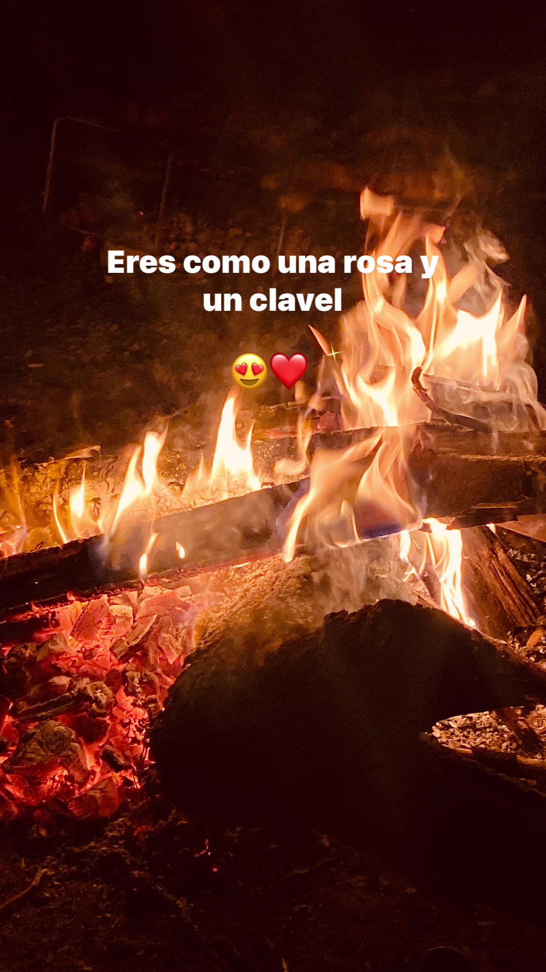 @reels.letras