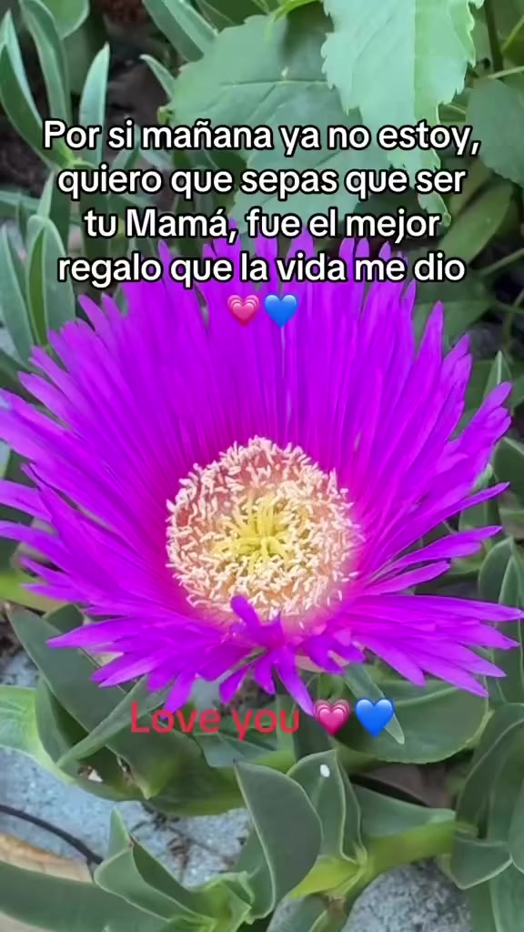 @Silvia Valencia