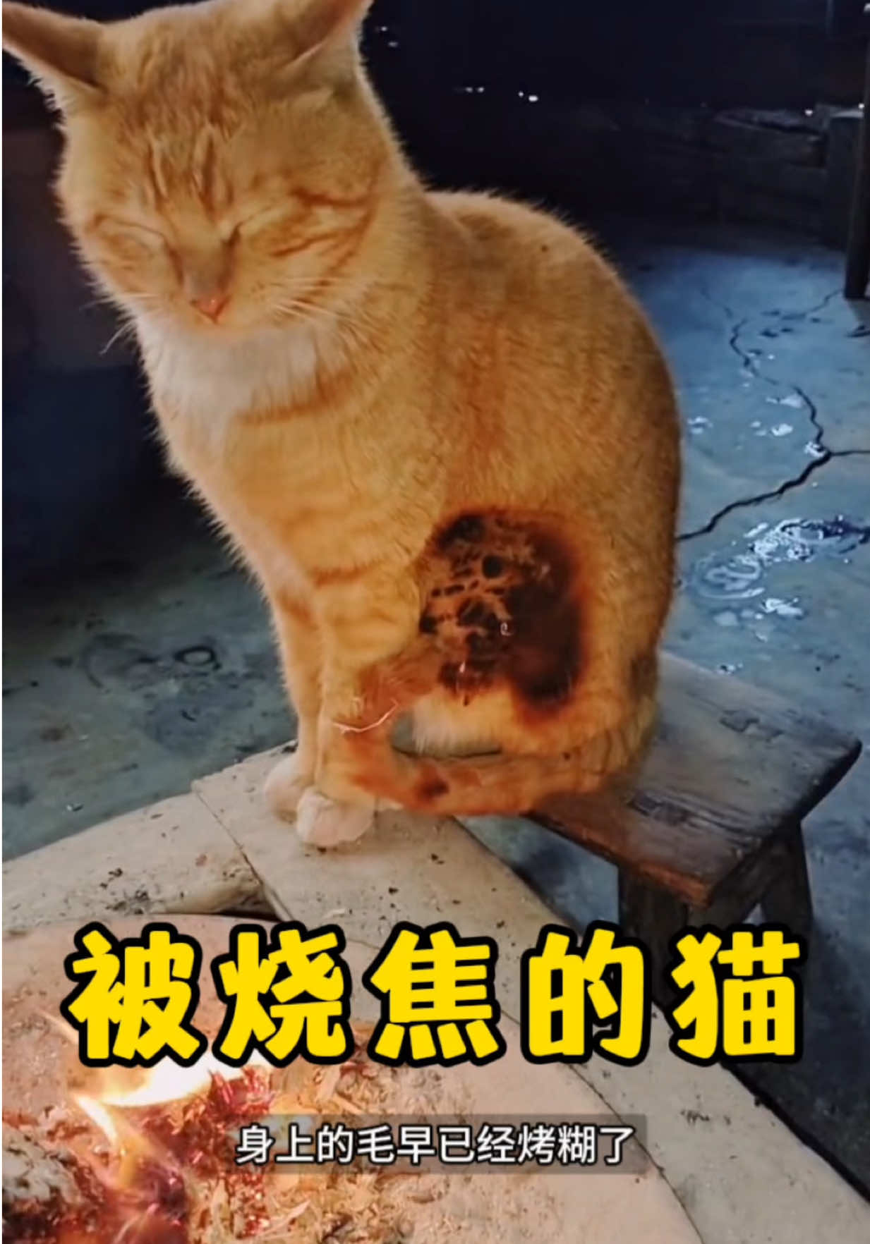 @云端笑视