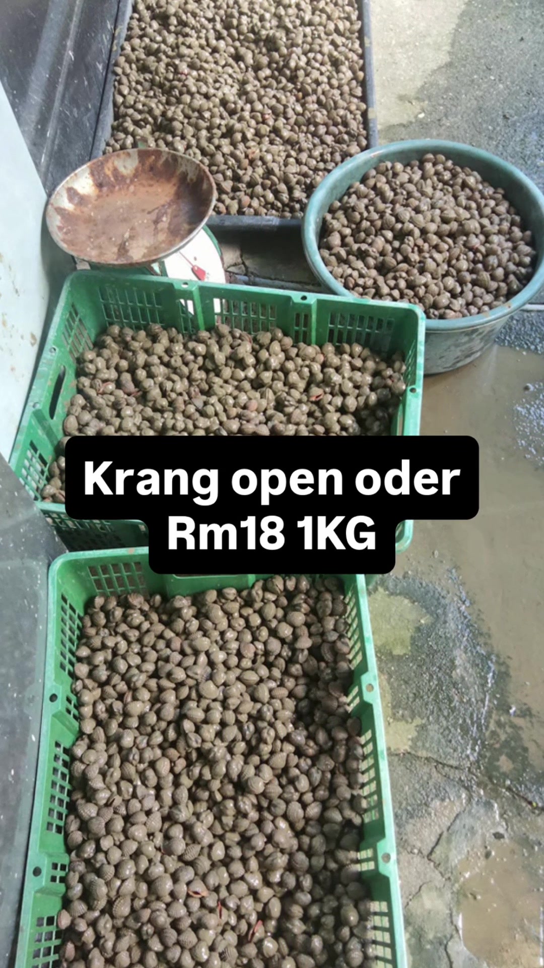 @nancykuchingNK