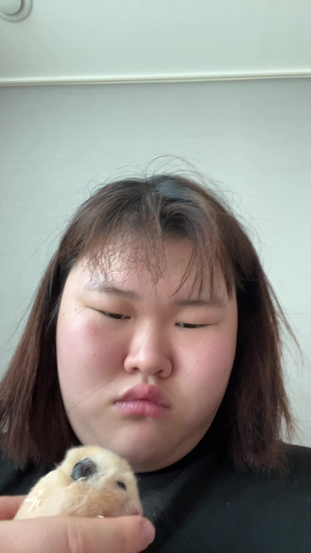 @참깨라면작은컵