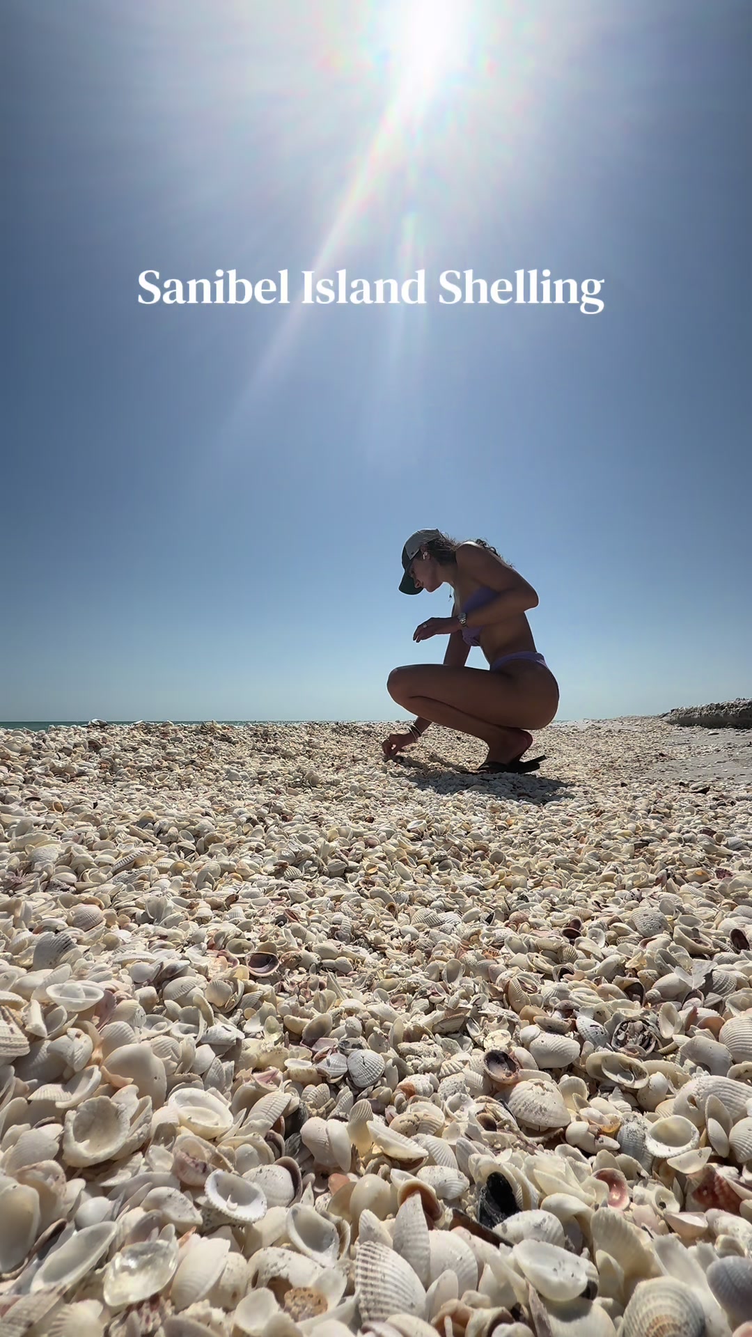 @Sanibel Sis