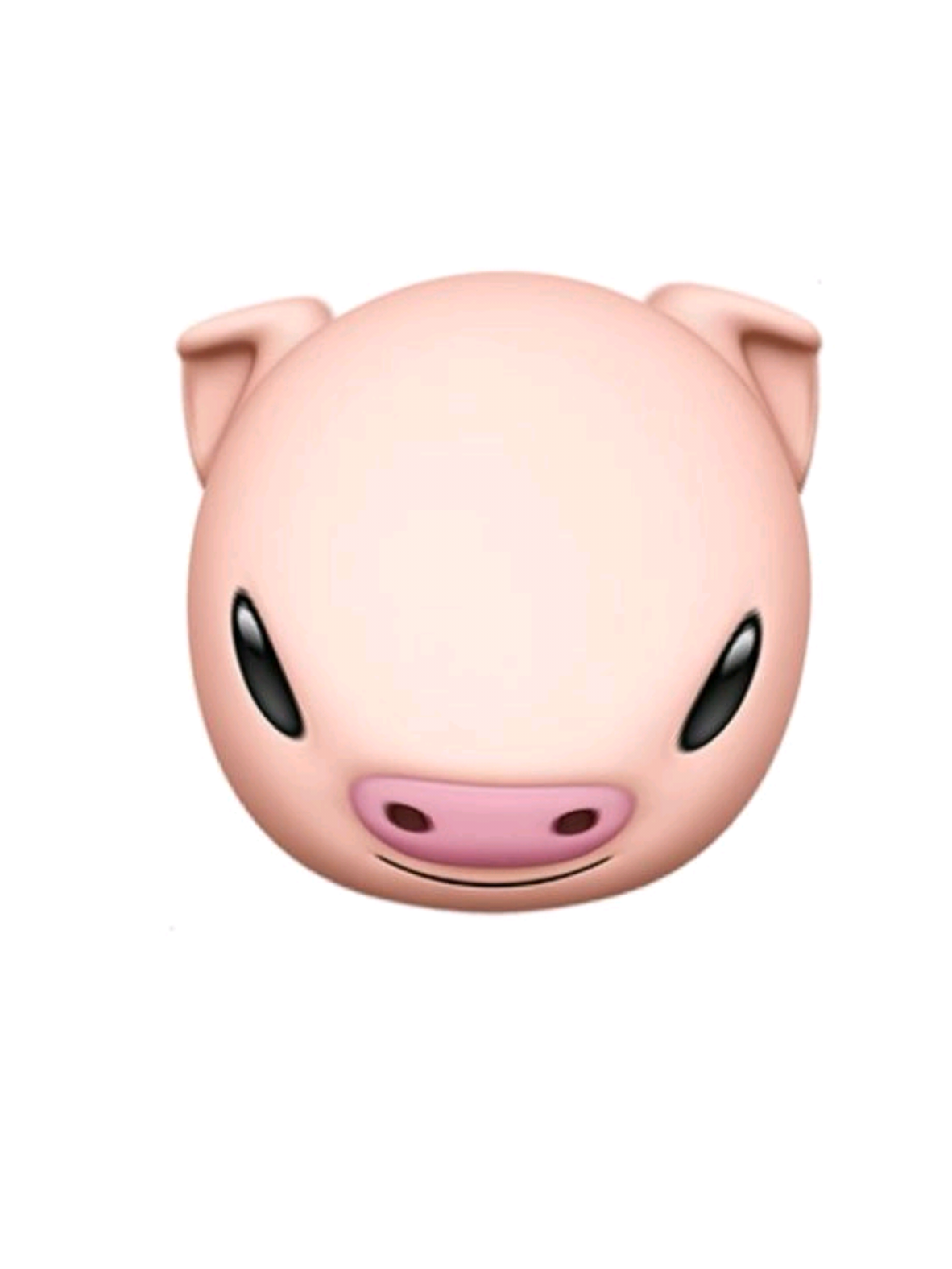 @♡ rinaaboo 🦭 =°^°