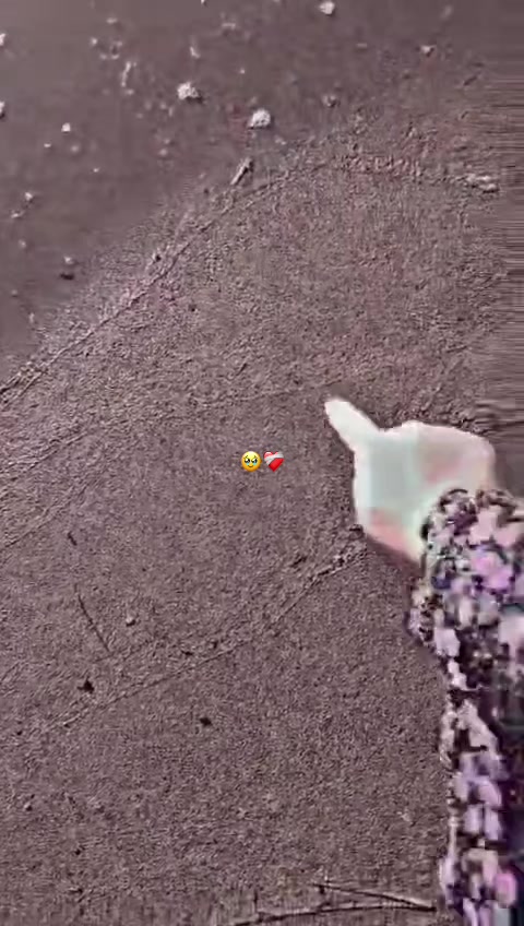 @♯̶الـ حݪۅهههۃة 𝓕🌸