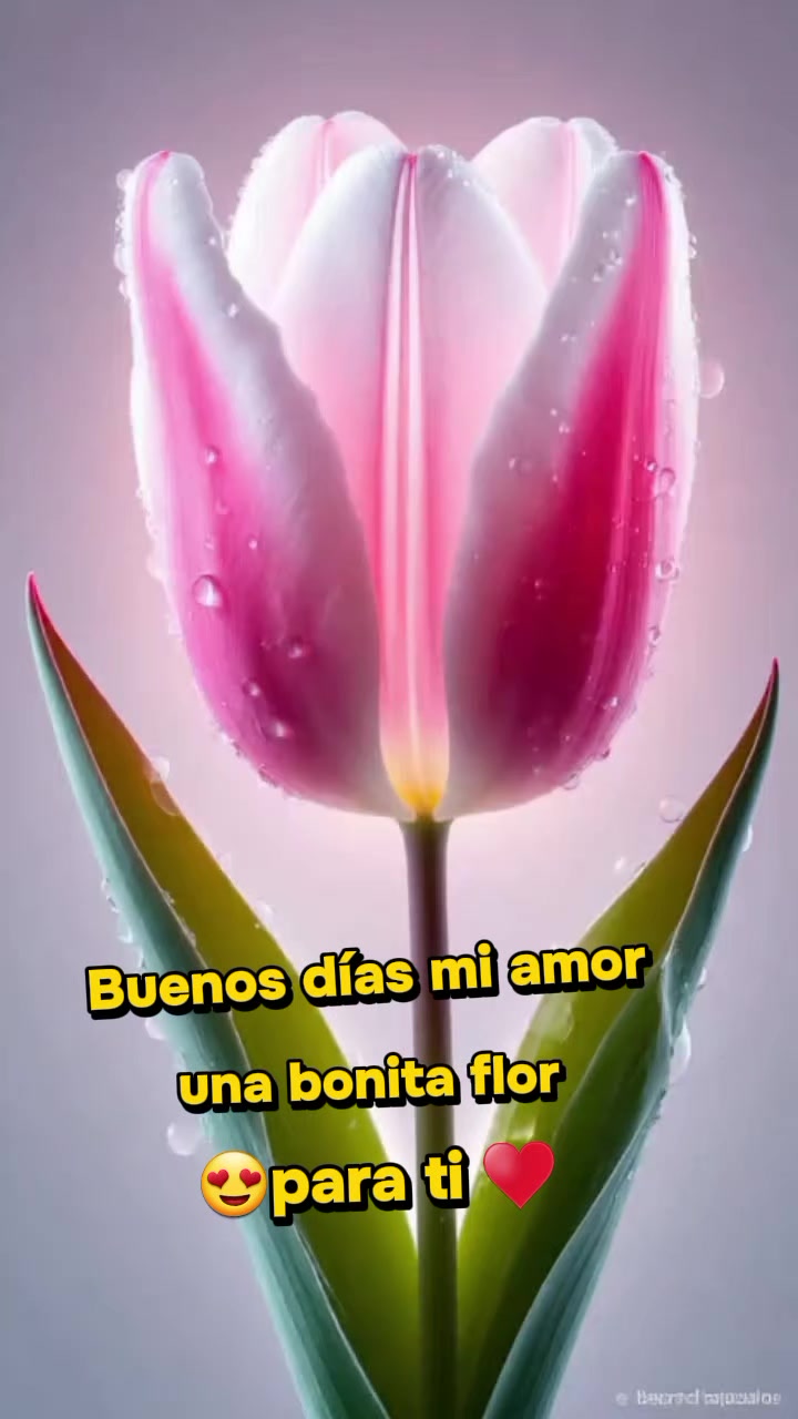 @Daniela.E🌹🌹