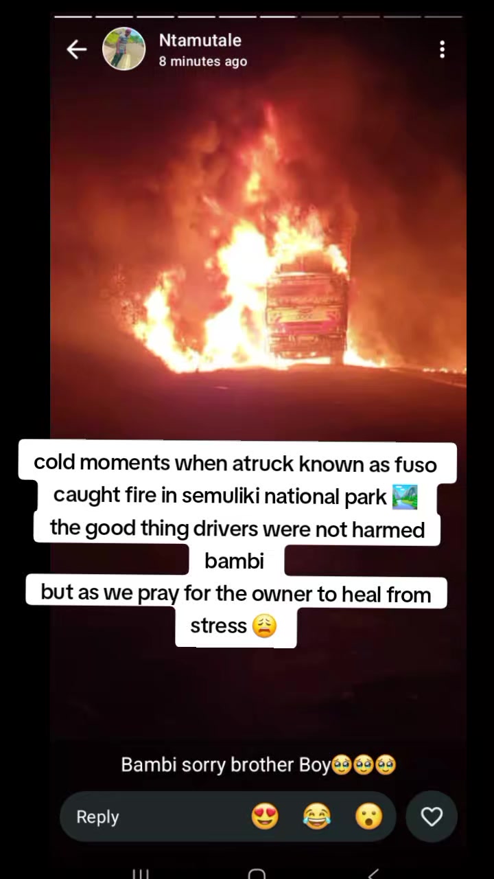 @ivanvlogs
