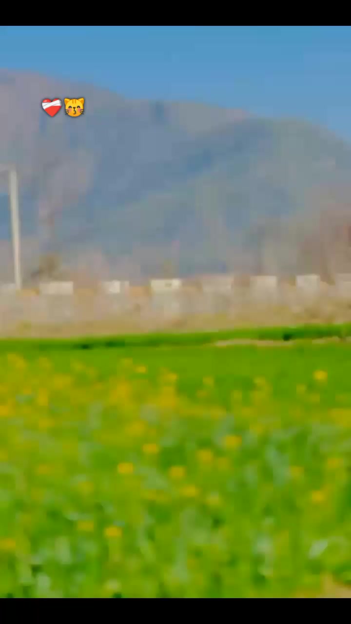 @༄Aк᭄✿ABBAS =522:🇻🇳࿐