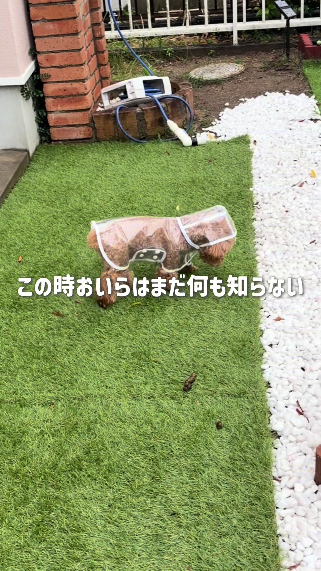 @るるもも