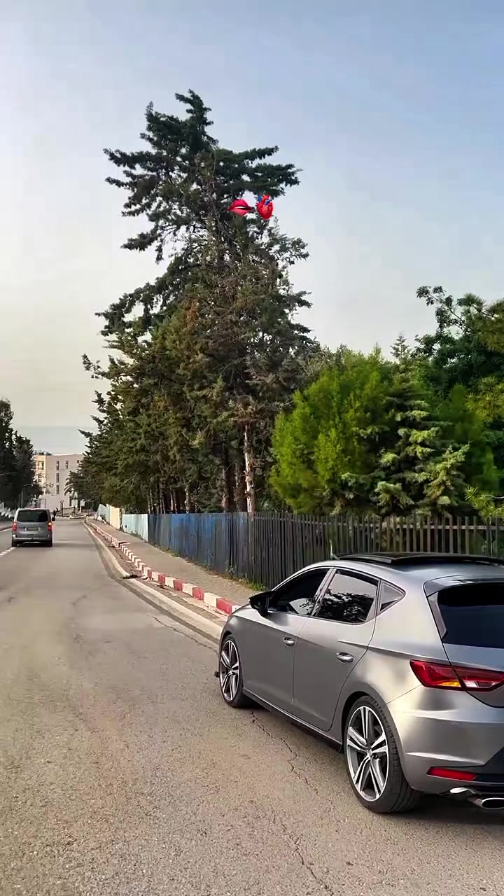 @Dz🇩🇿®️