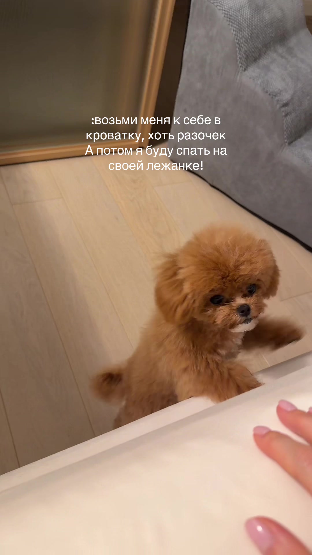 @Eva