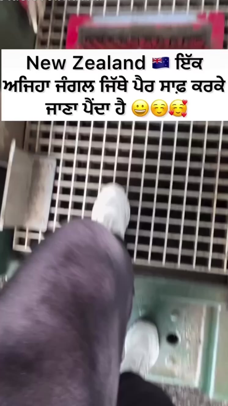@lotuslovebhavna