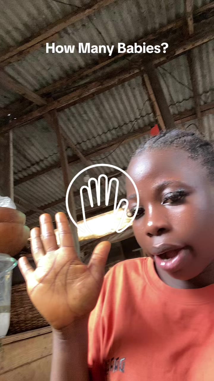 @Ayomide alagbo oshodi mafolu