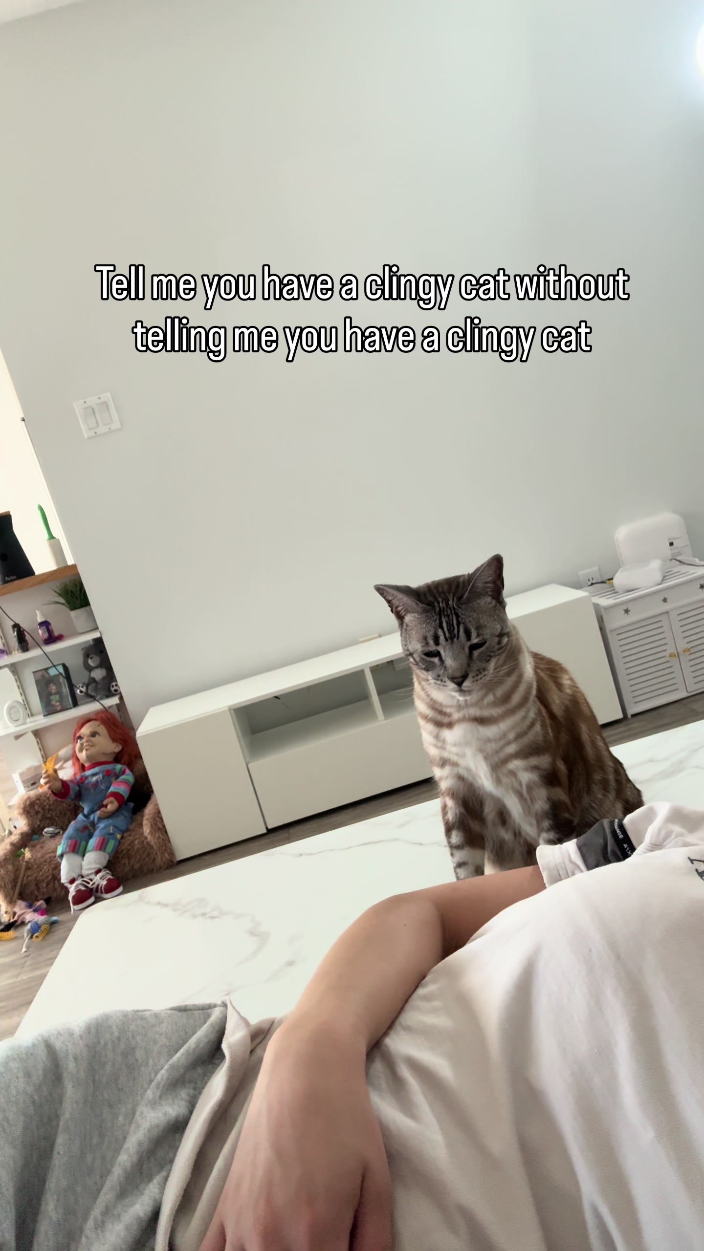 @Three Nawty Cats