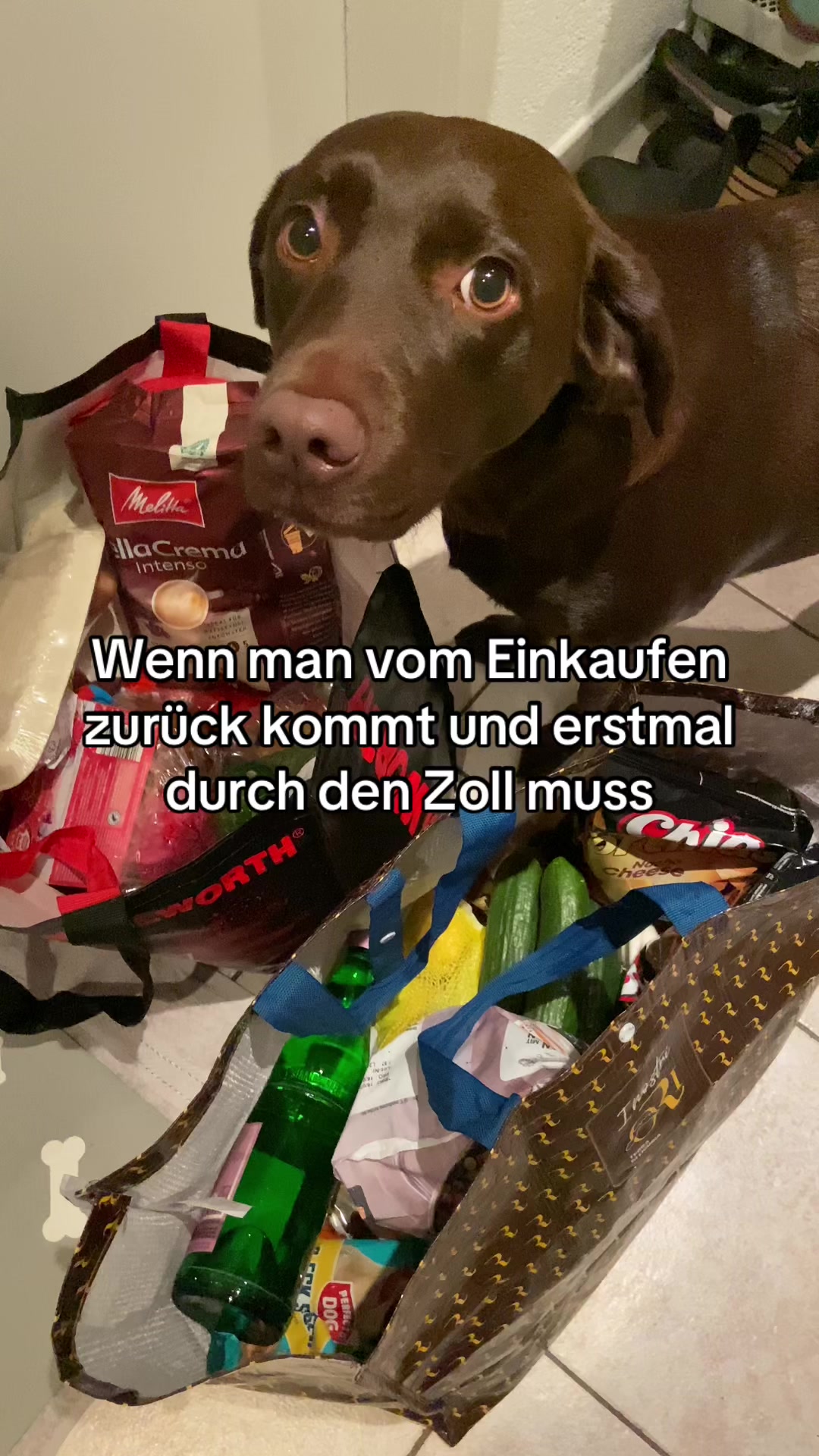 @Nala und Anna