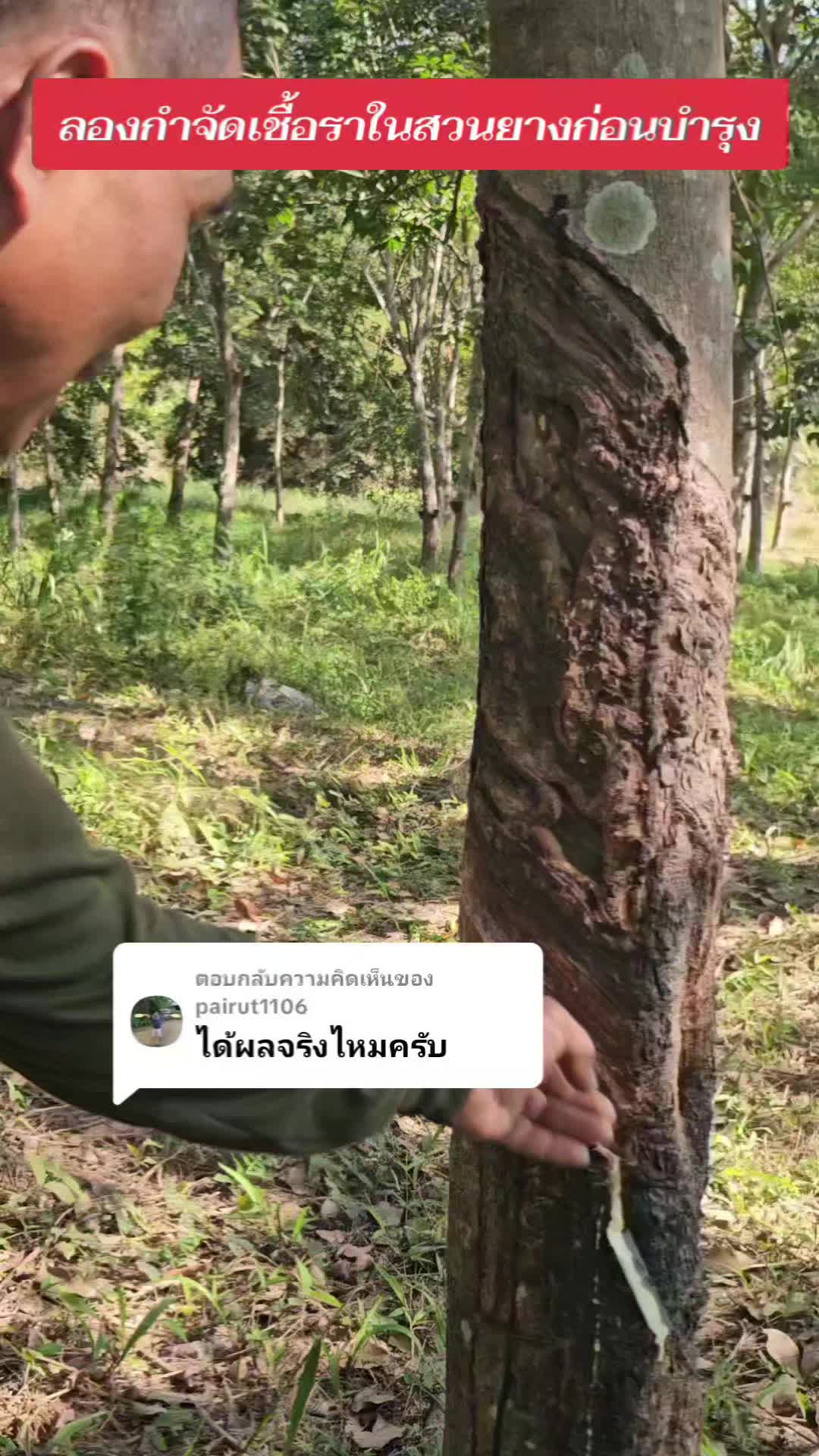 @นัดดาชอป