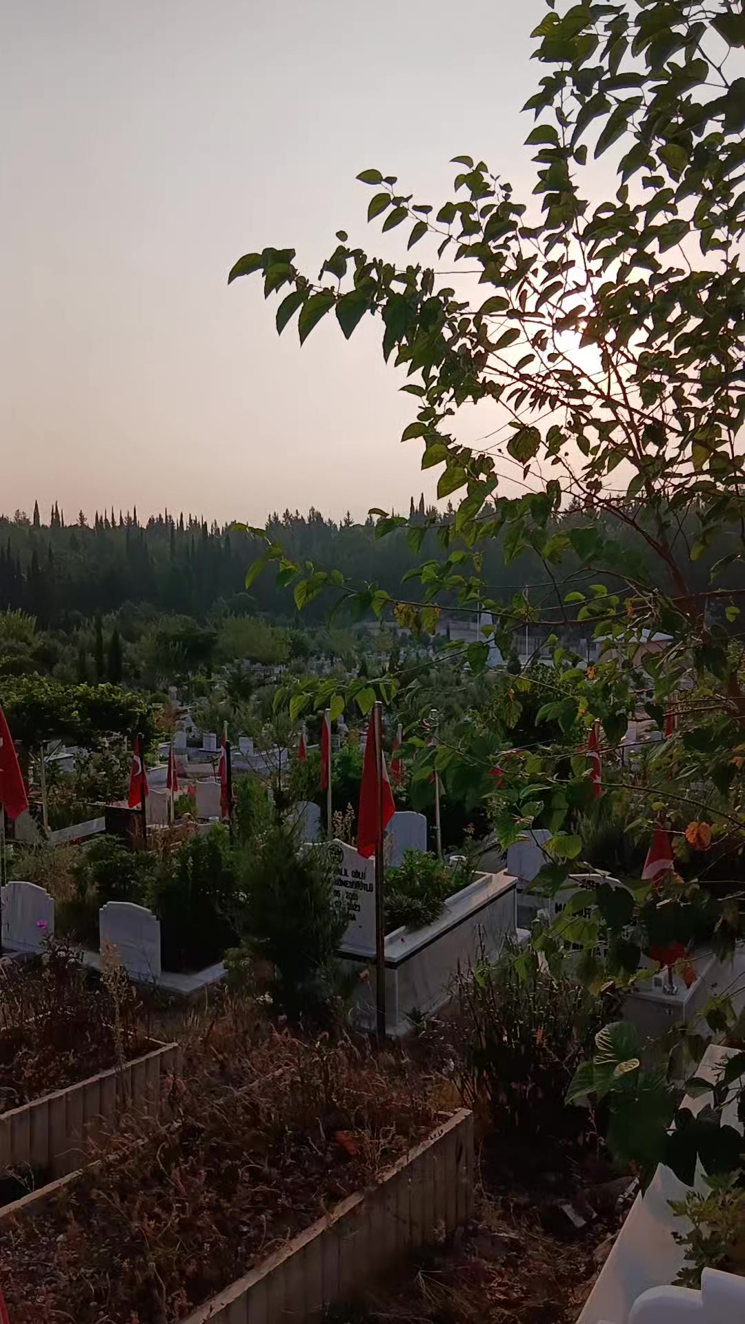 @yalnız adam1980