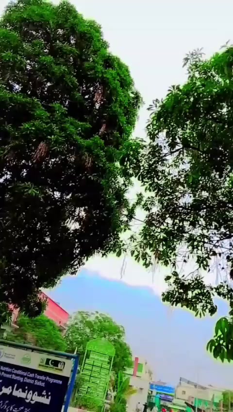 @mubashirnagar3