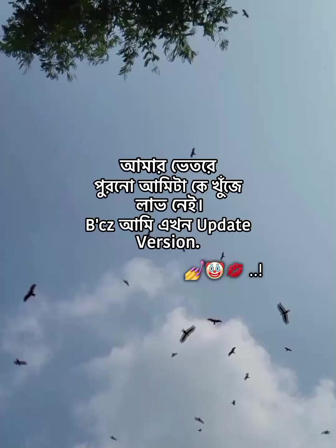 @⁷𝐇𝐚𝐦𝐢𝐝𝐚◡🧃