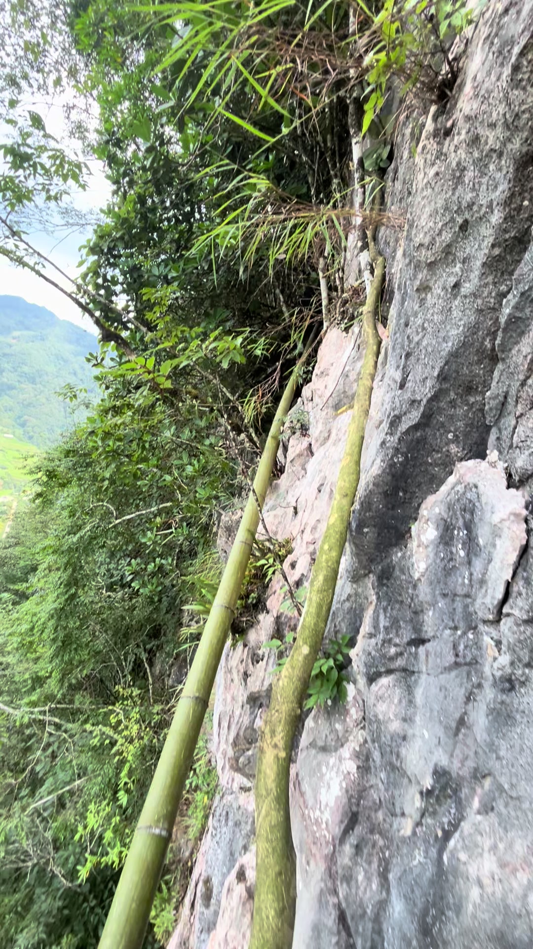 @L&Iacute;U  🇻🇳☣️