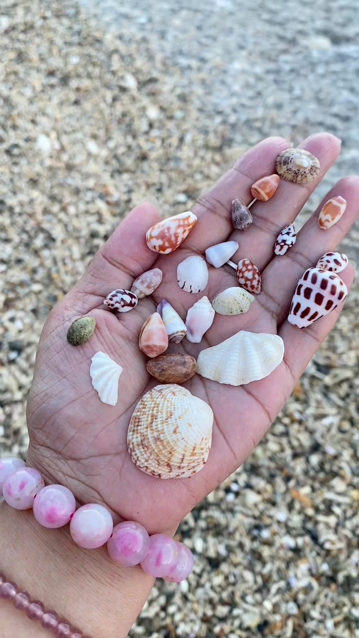 @Seaglass Goddess ღ