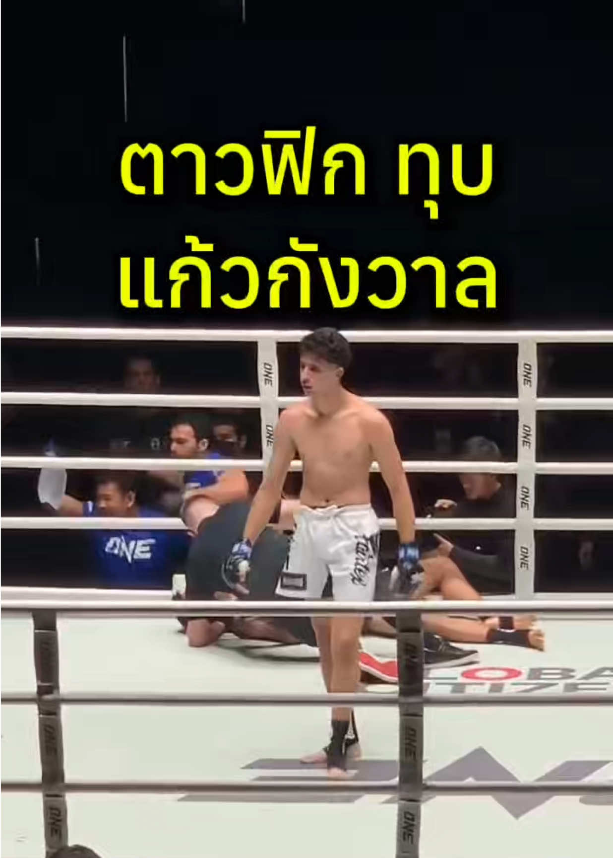 @mongkol_konmuay