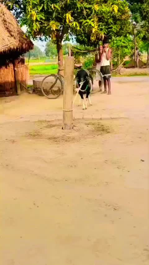 @Mannu Yadav