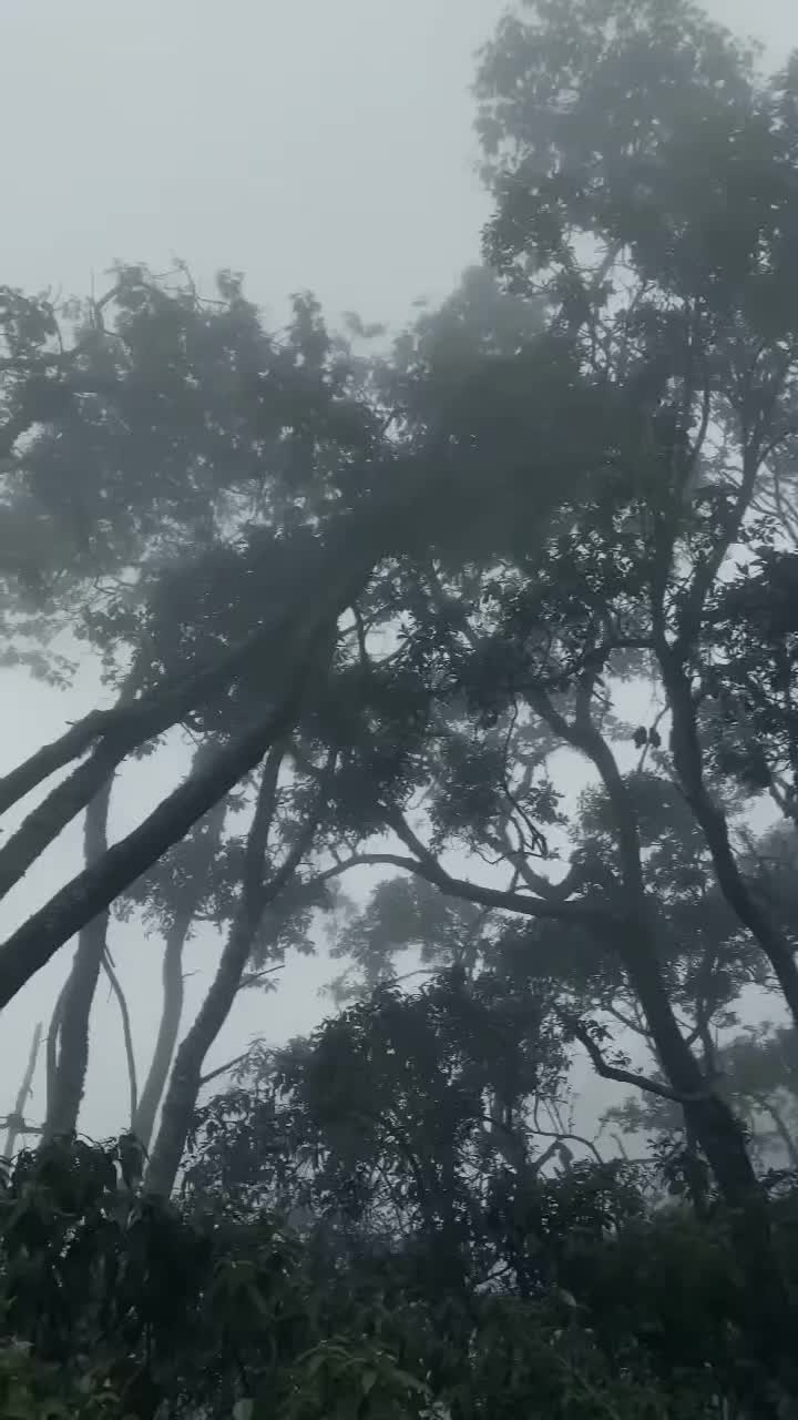@4abbb7