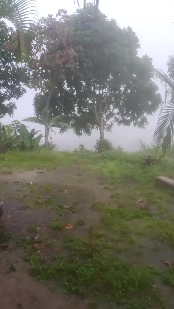@darwin062