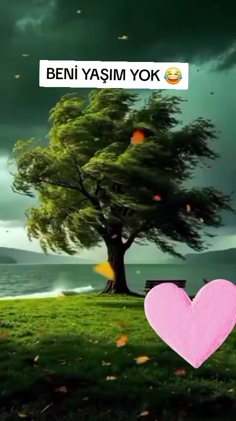 @🌹🧜&zwj;♀️yaban g&uuml;l&uuml;🧚&zwj;♀️💜