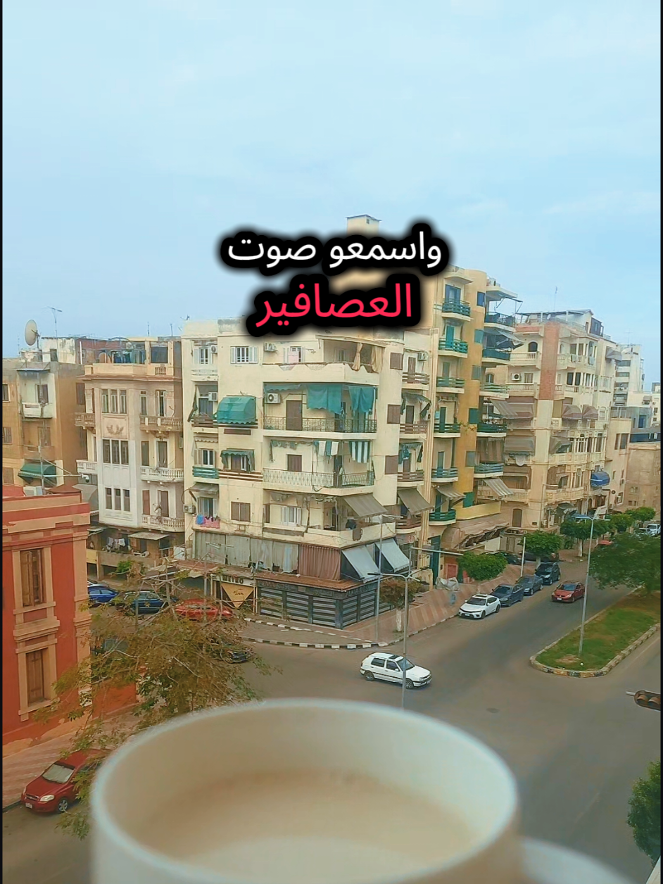 @yasmeena