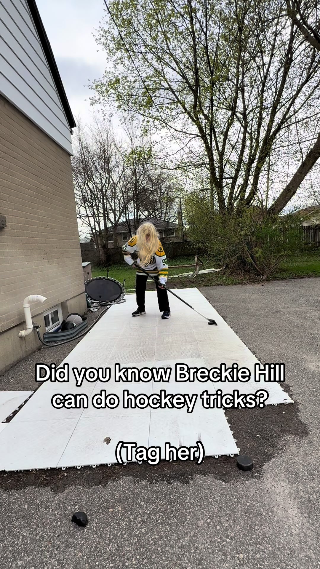 @Hockey Legend