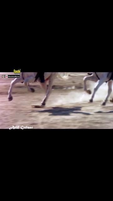 @Jhankar Songs