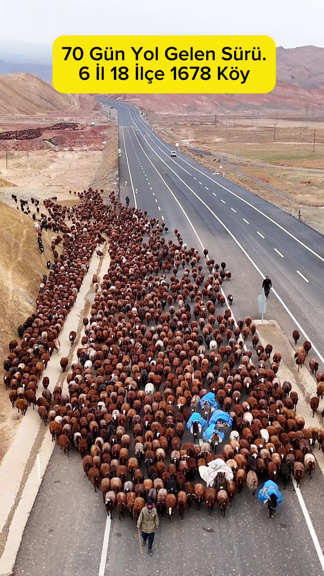 @Mehmet &Ouml;zcan