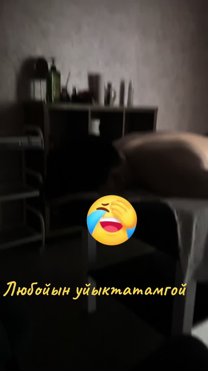 @user37636723729