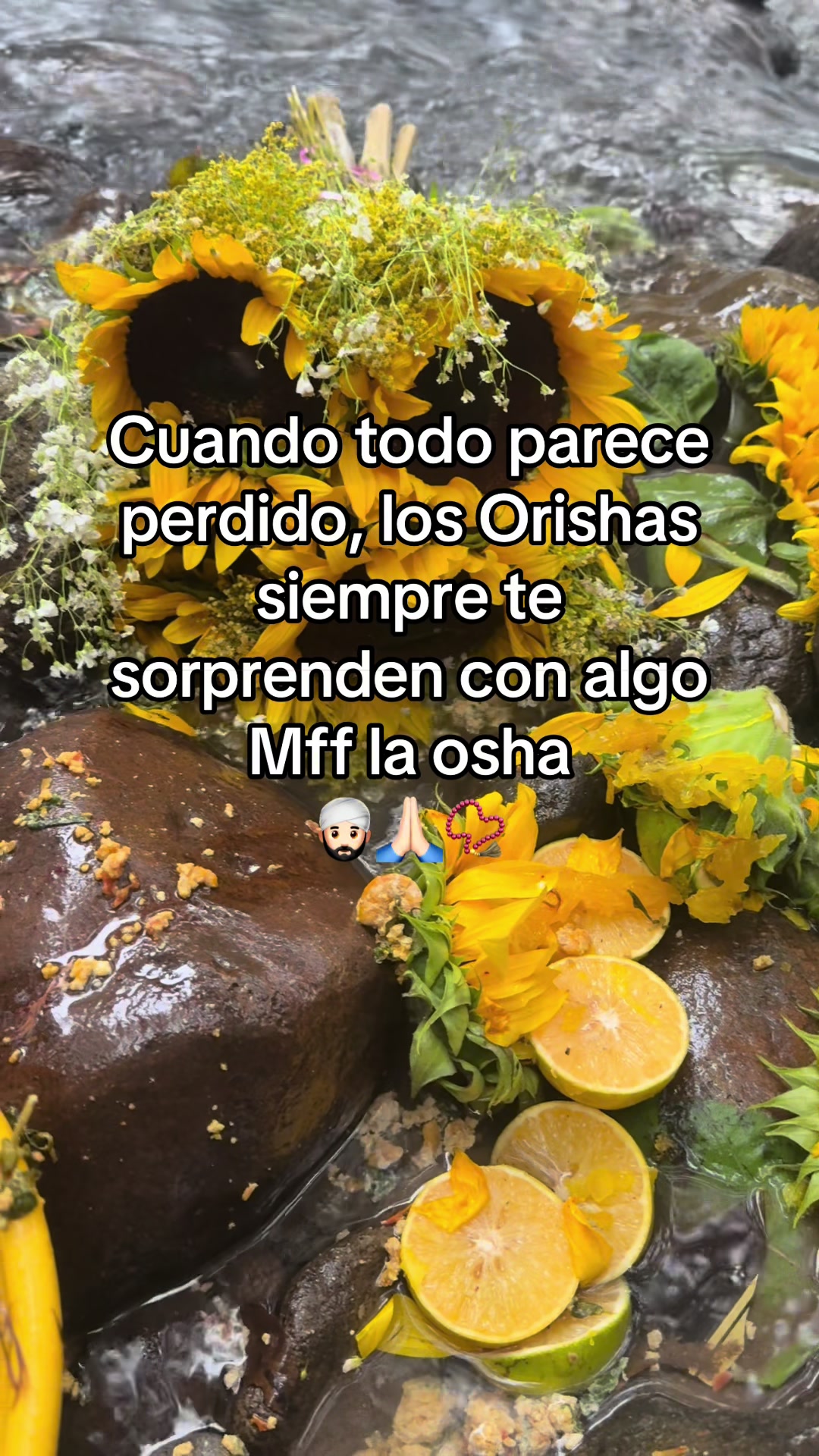 @octaviooshunkoide